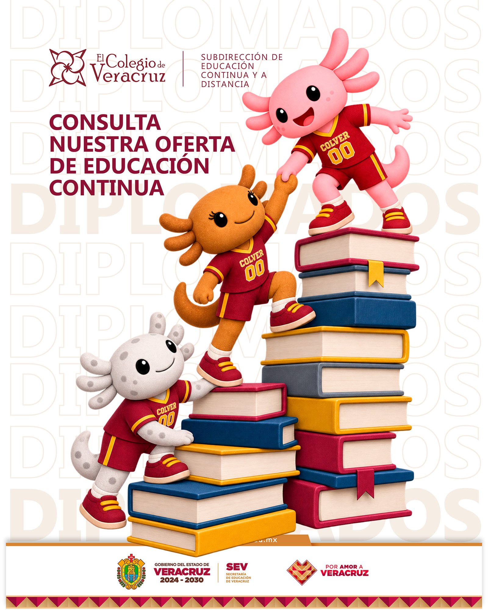 Oferta educativa de El Colegio de Veracruz